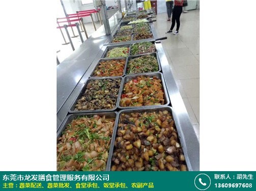 茶山中學食堂承包資質探析 以龍發膳食餐飲管理為例