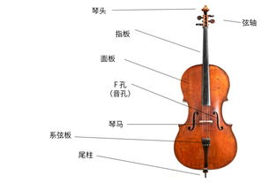 這些樂器，就算化成灰我也認識